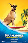 Poster do filme Marmaduke